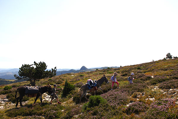 GR®7 : Des Vosges aux Pyrénées GR®7 : Des Vosges aux Pyrénées