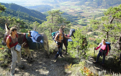 GR®965 : Sur le pas des Huguenots et des Vaudois GR®965 : Sur le pas des Huguenots et des Vaudois