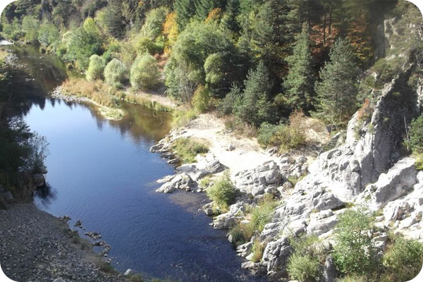Au bord de la Loire avec un âne Au bord de la Loire avec un âne